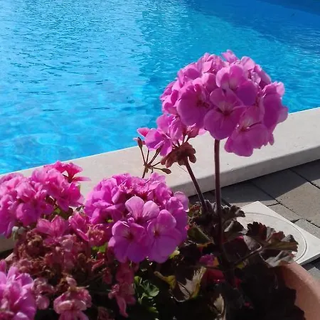 House Ariamare *