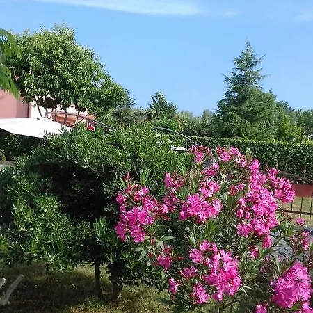 House Ariamare *