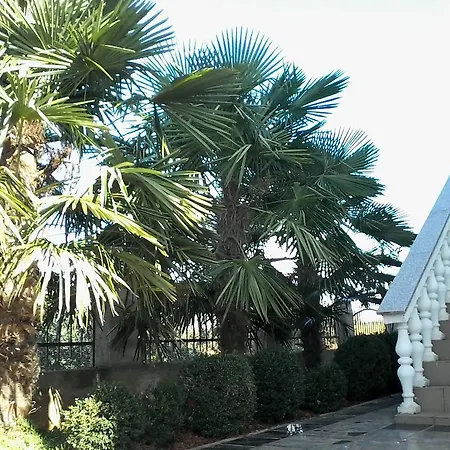 Apartament House Ariamare *