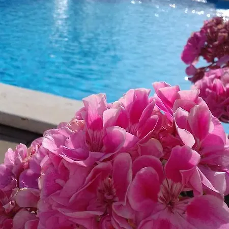 Apartment House Ariamare *