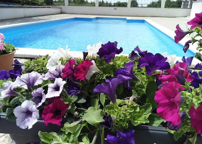 House Ariamare