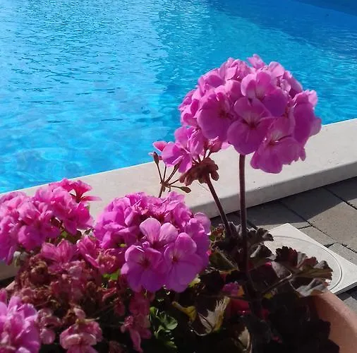 House Ariamare *